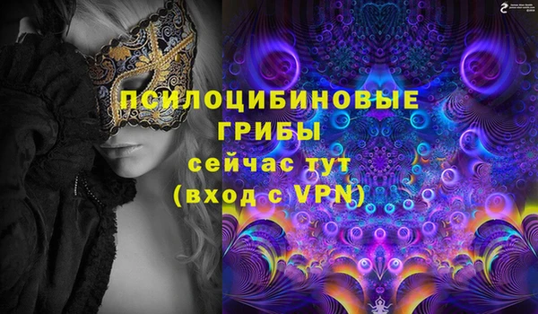 ПСИЛОЦИБИНОВЫЕ ГРИБЫ Снежногорск
