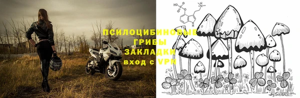 ПСИЛОЦИБИНОВЫЕ ГРИБЫ Снежногорск