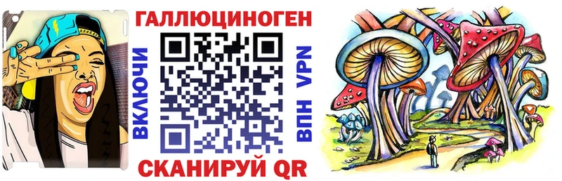 Купить  Сольцы  Галлюциногенные грибы Psilocybe 